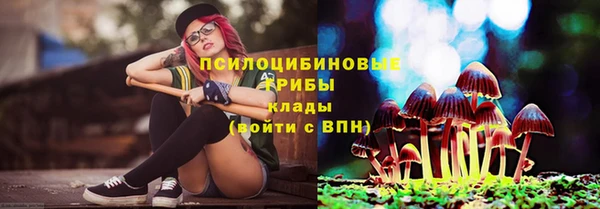 jwh Богородск