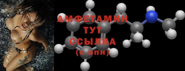 ECSTASY Богородицк
