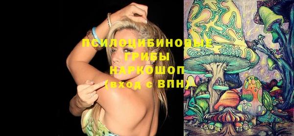 ECSTASY Богородицк