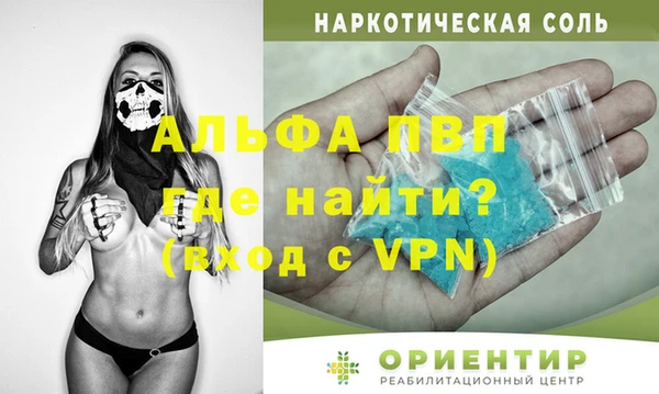 ешки Богданович
