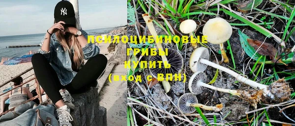 гашик Бронницы