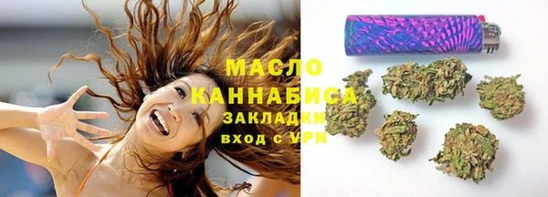 шишки Бородино