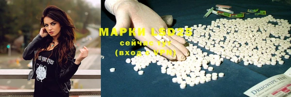 шишки Бородино