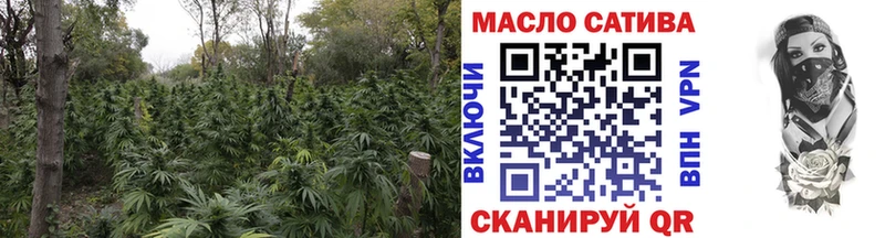 ТГК гашишное масло купить наркотик Дигора